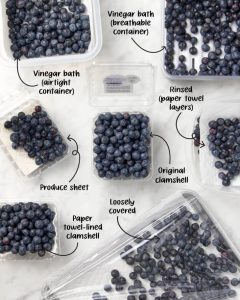 Best Food to Freeze Dry