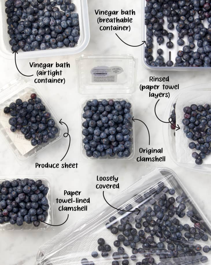 Best Food to Freeze Dry
