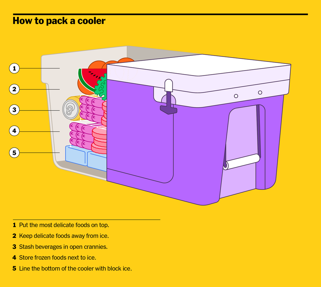 Best Freezer Packs for Coolers
