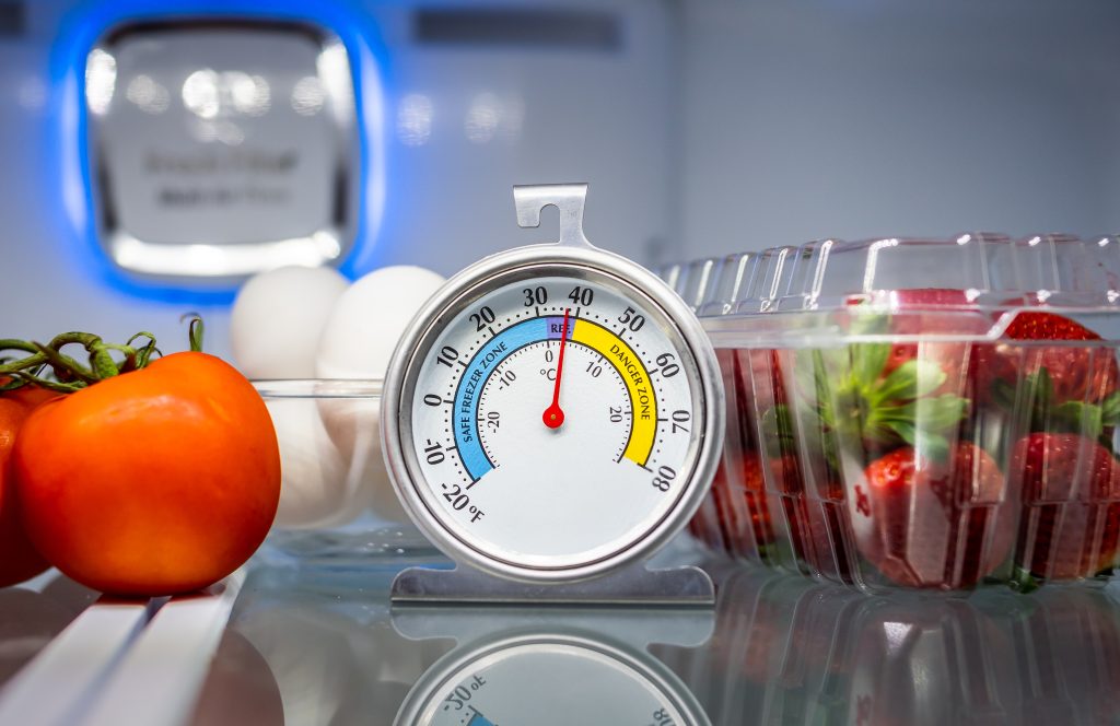 Best Freezer Thermometer