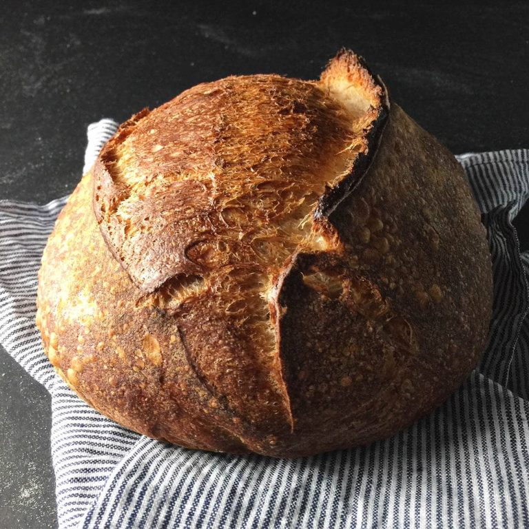 Best Oven for Home Bakery