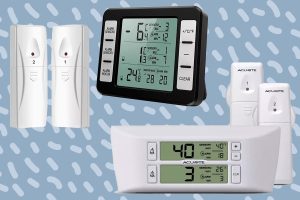 Best Refrigerator Thermometer
