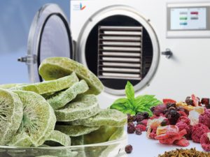 Best Things to Freeze Dry