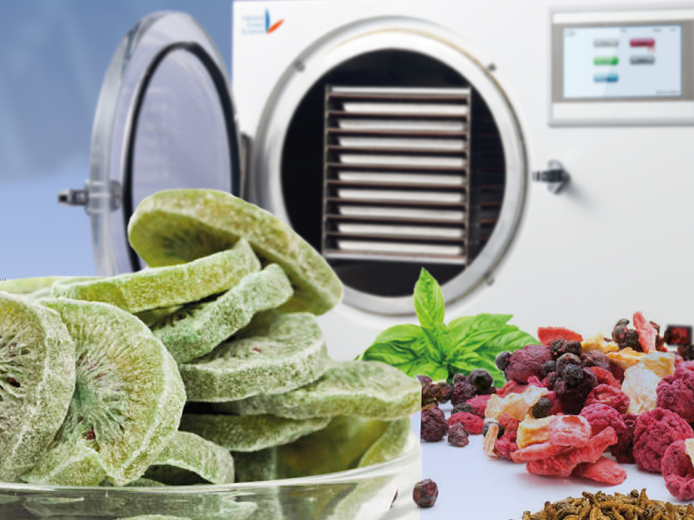 Best Things to Freeze Dry