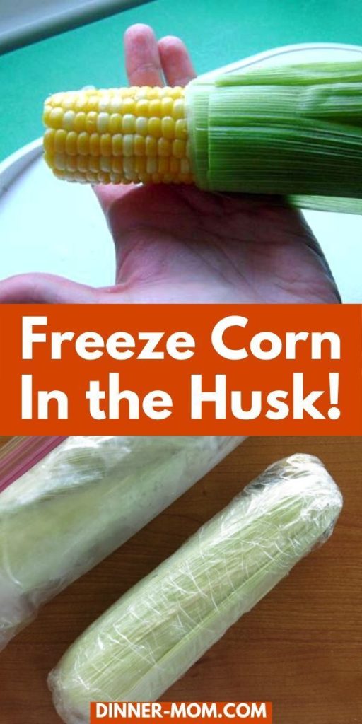Best Way to Freeze Corn on the Cob in Husk