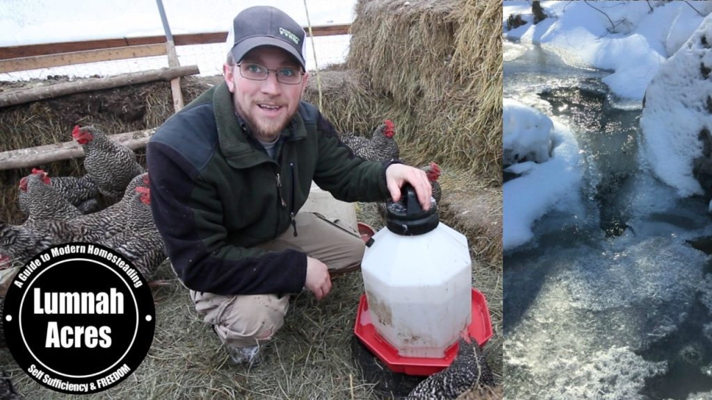 Best Way to Keep Chicken Water from Freezing