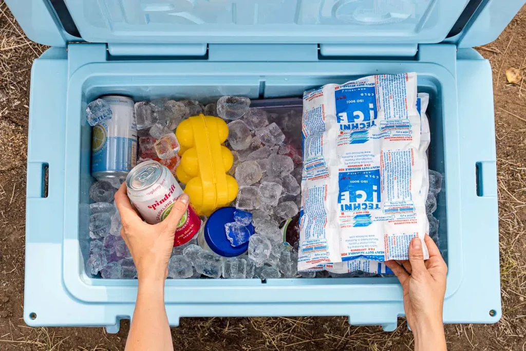 Best Way to Store Ice Cubes in Freezer