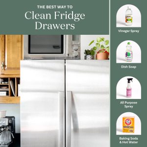 Refrigerator Vs Fridge Vs Freezer